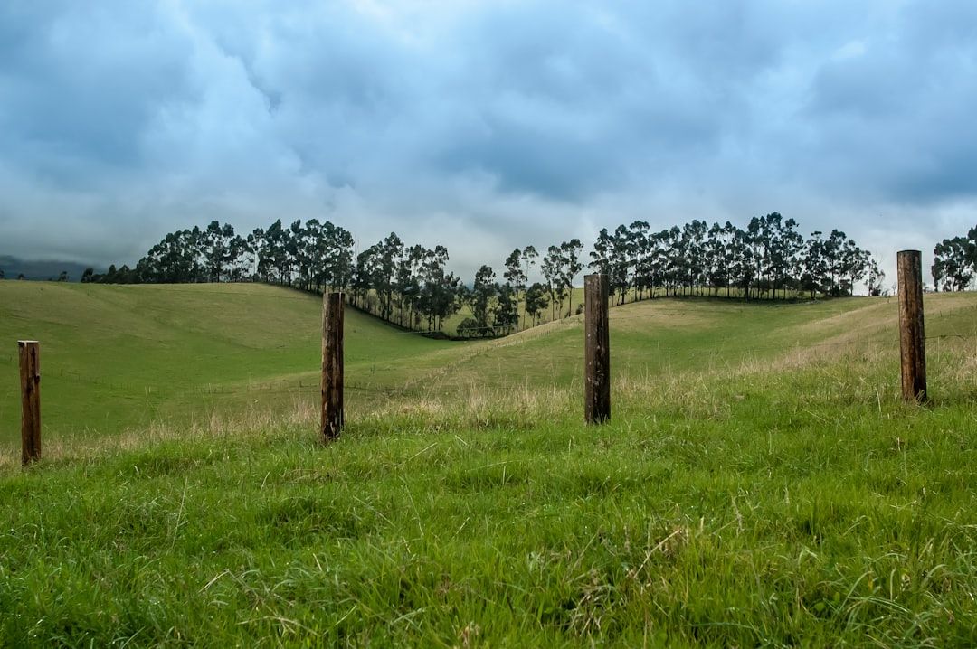 Ecuador countryside nature landscape