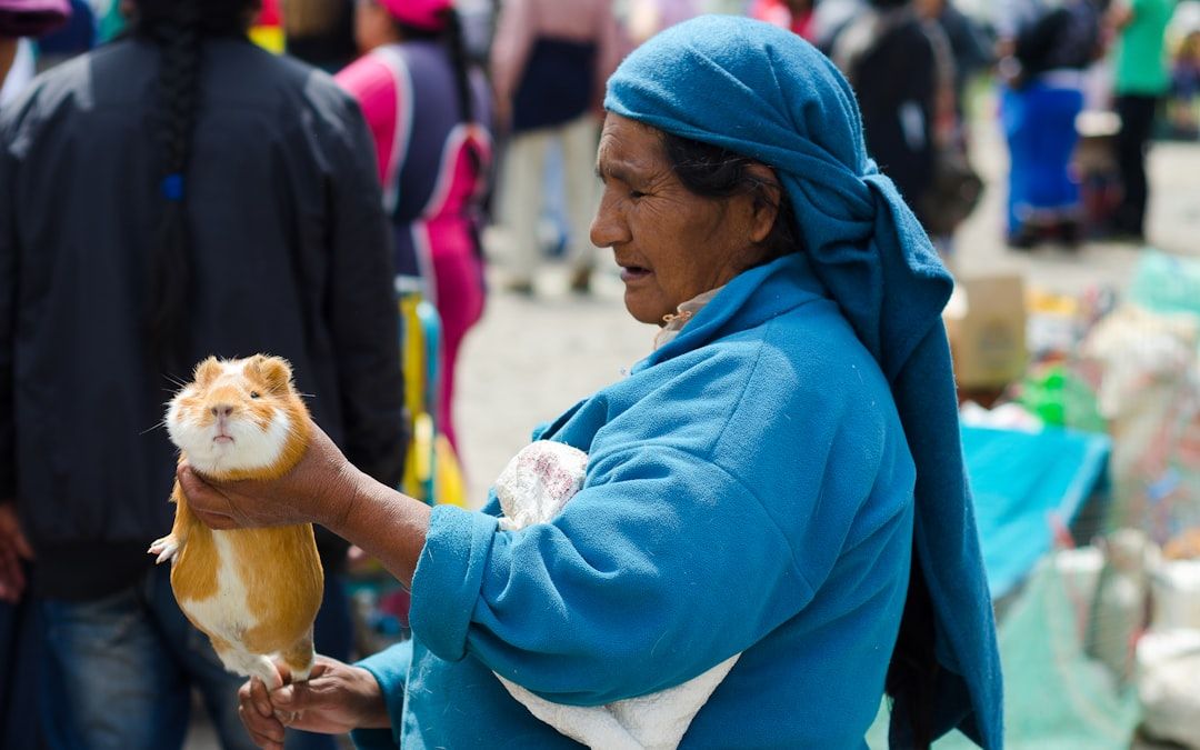 Ecuador street market local life