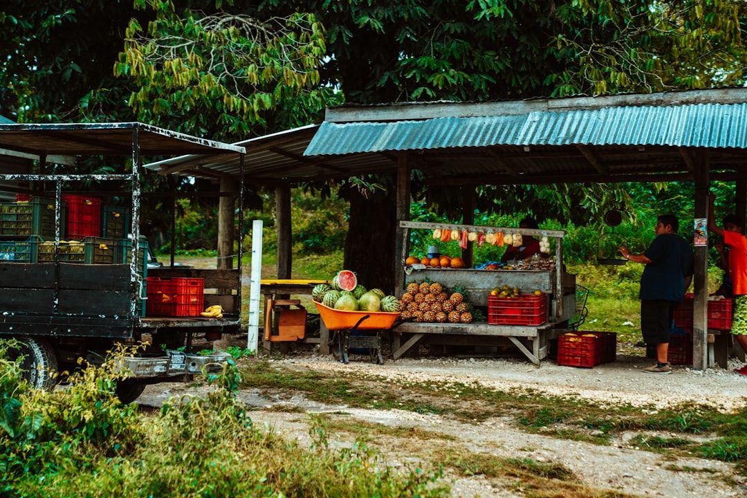 Belize street market local life